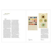 Hilma af Klint: Paintings for the Future